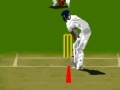 Oyunu Virtual cricket