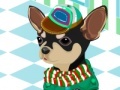 Oyunu Pick up the suit for Chihuahua