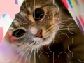 Oyunu Cat really cute 3 puzzle