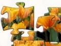 Oyunu Tulip 2 jigsaw puzzle 