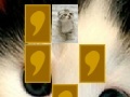 Oyunu Cute cat memory