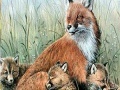 Oyunu Fox family in the nature puzzle