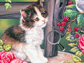 Oyunu Hidden Numbers Cat