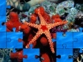 Oyunu Starfish
