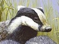 Oyunu Three polecat puzzle
