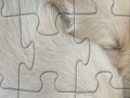 Oyunu Puppies jigsaw