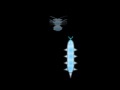 Oyunu Cyber Worm 