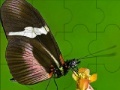 Oyunu Fantastic butterfly puzzle