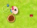 Oyunu Catch the Insects