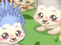 Oyunu Hedgehog Care