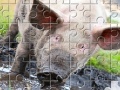 Oyunu Little Piggy Jigsaw