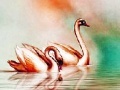 Oyunu Golden swans slide puzzle