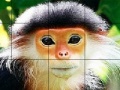 Oyunu Elderly monkey slide puzzle