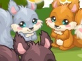 Oyunu Squirrel Care