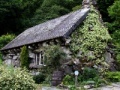 Oyunu Puzzles: Cottage