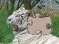 Oyunu Jigsaw White Tiger 