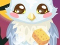 Oyunu Owl Care