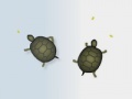Oyunu Turtles