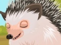 Oyunu Cute hedgehog care