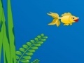 Oyunu Gold fish escape