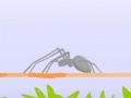 Oyunu Spider Fighting