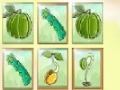 Oyunu Fruit Match