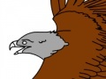 Oyunu Birds Coloring Book