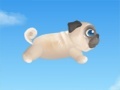 Oyunu Pug The Dog