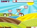 Oyunu Animal Click