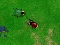 Oyunu Beetle Wars