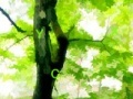 Oyunu Green Forest Hidden Alphabet
