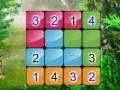 Oyunu Wonderful Sudoku