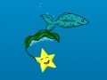 Oyunu Star Fish