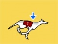 Oyunu Greyhound Racer DX