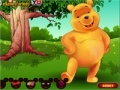 Oyunu Winnie the Pooh