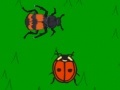 Oyunu The lady bug