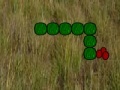 Oyunu Snake
