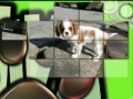 Oyunu Pretty Puppies Puzzles