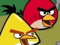 Oyunu Memory - Angry Birds