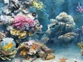 Oyunu Underwater World