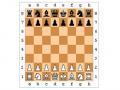 Satranç oyunları 
